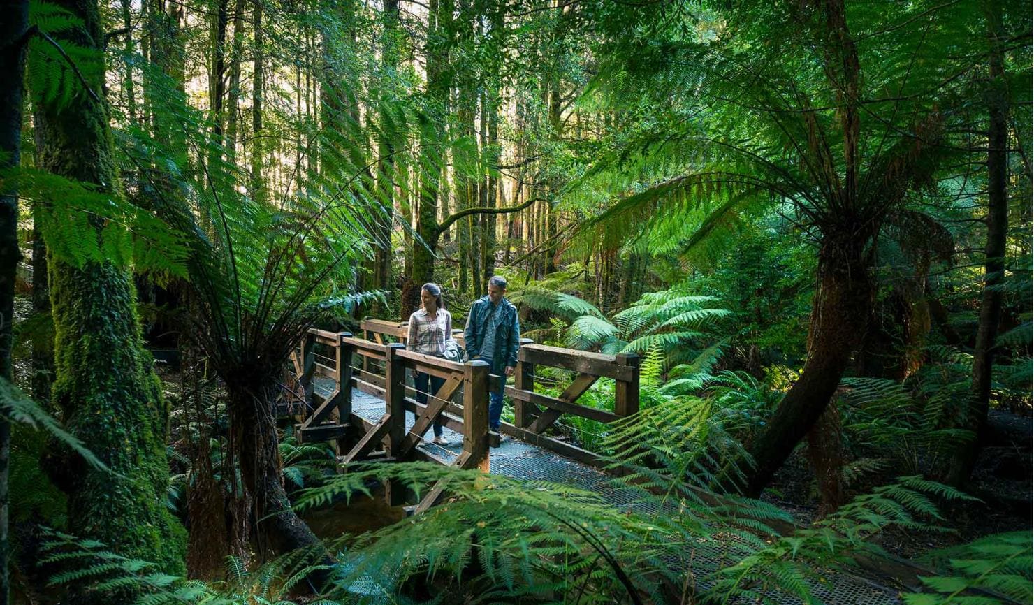 Yarra Ranges National Park: Discovering the natural wonders of Yarra Ranges National Park.