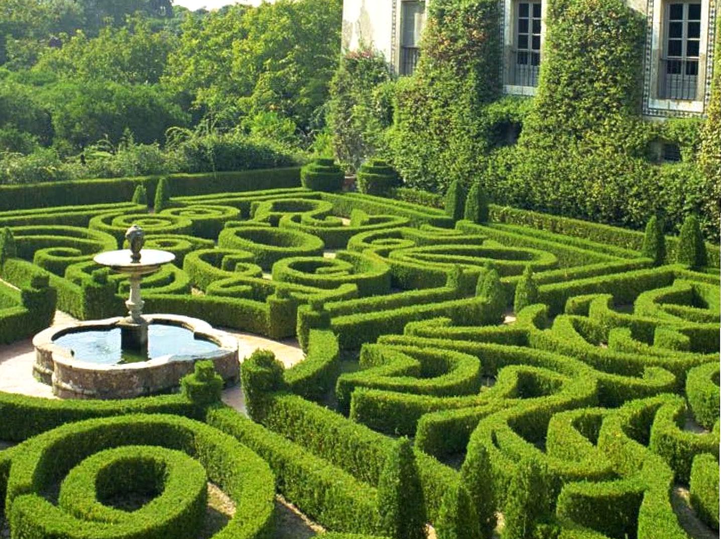 Hedgend Maze: Navigating the fun and challenging Hedgend Maze.