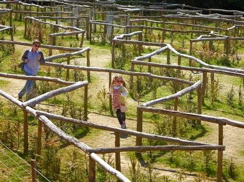 Discovering Fun and Challenges in Hedgend Maze