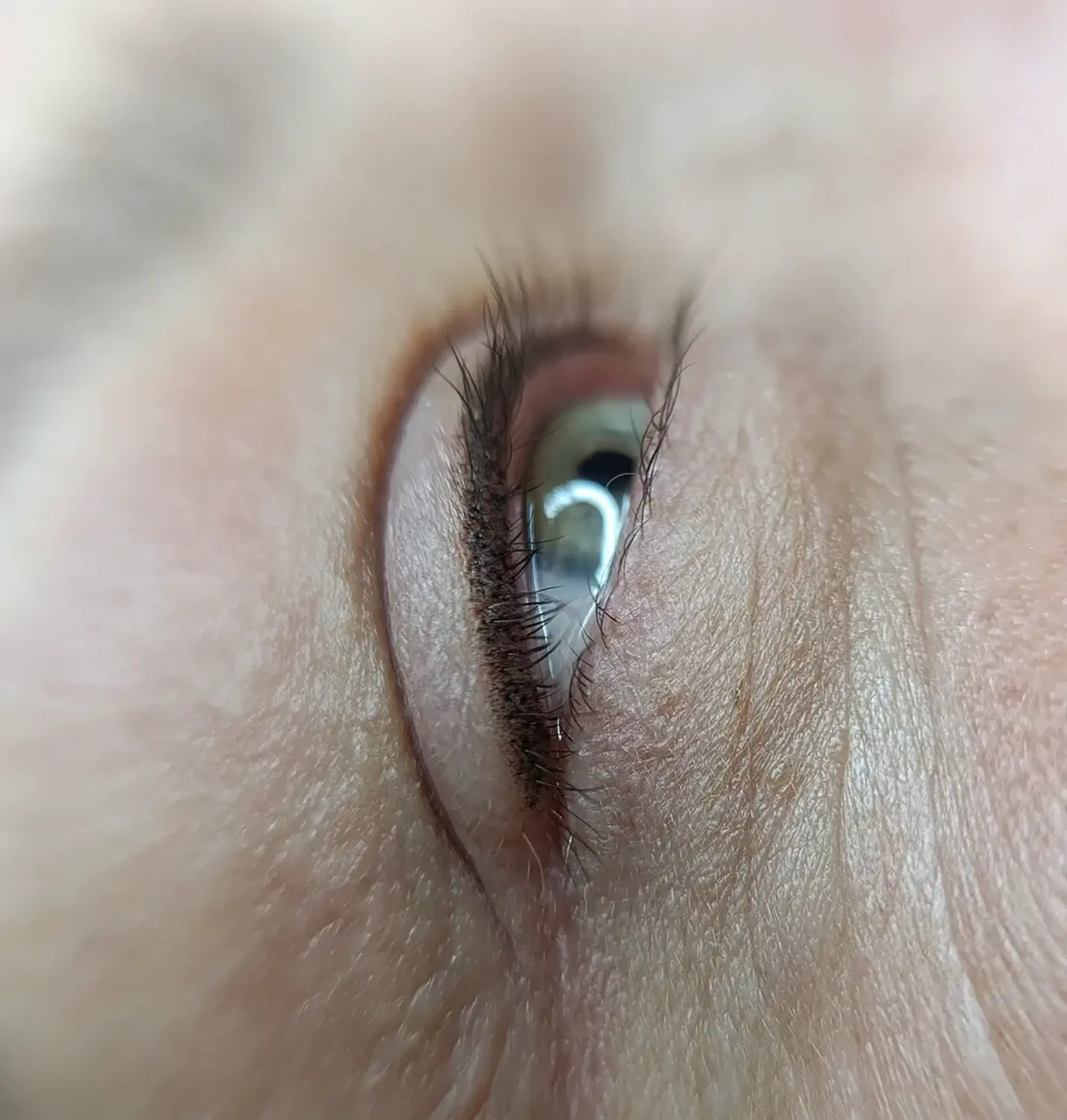 What Is ‘Invisible Eyeliner’ Or ‘Lash Enhancement’?
