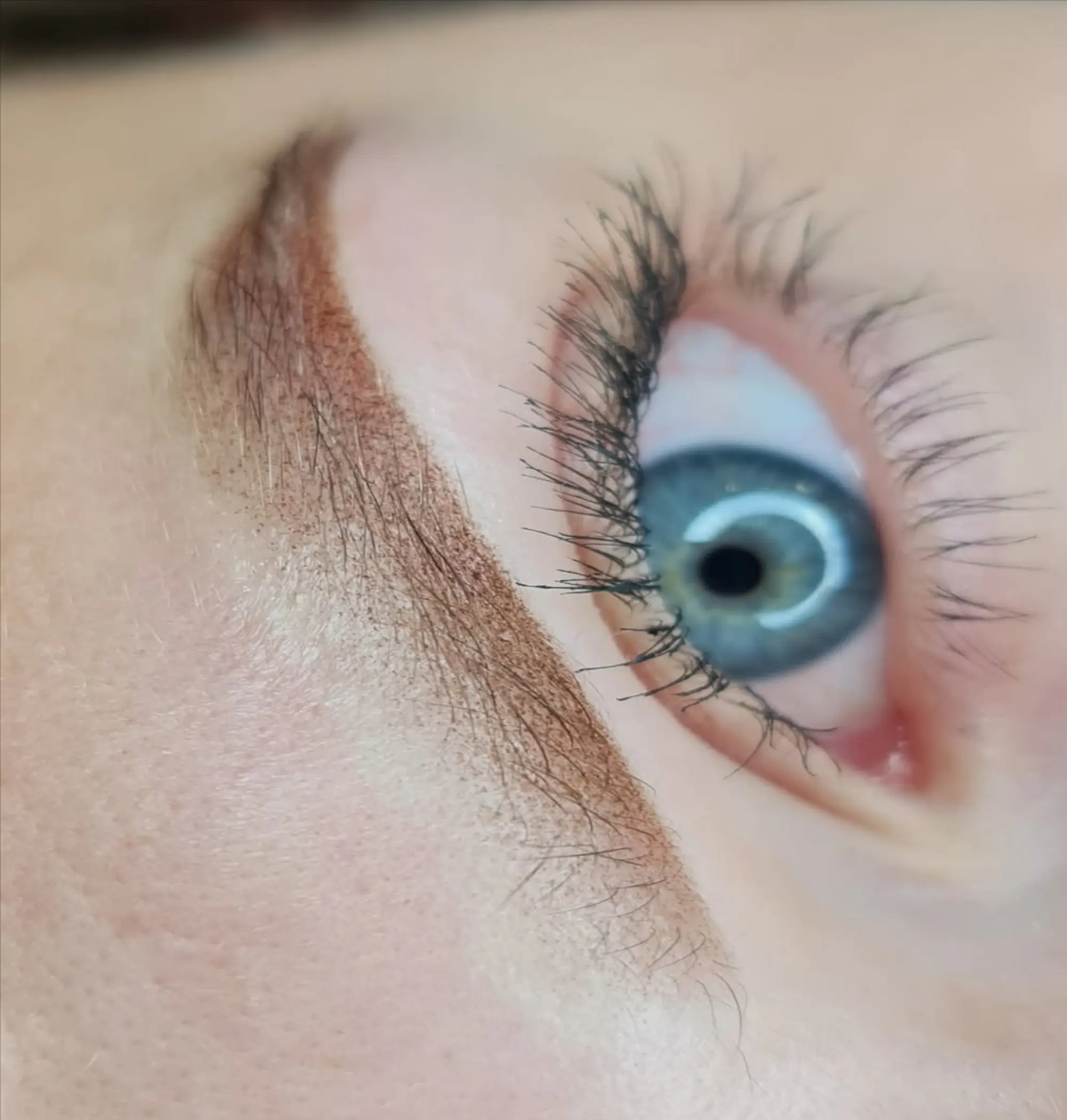 Can Ombre Brows Replace Lamination?