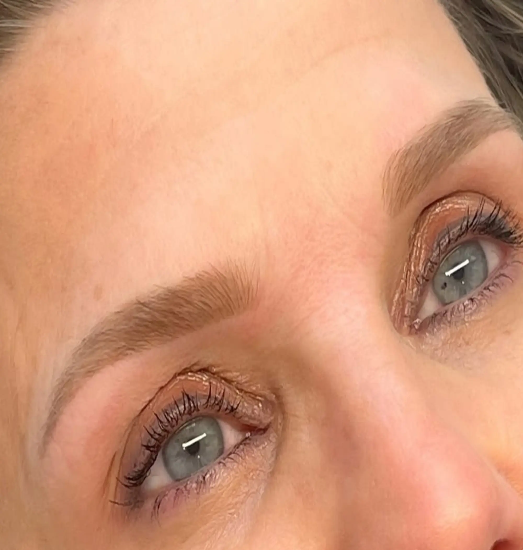 ombre brows healed result